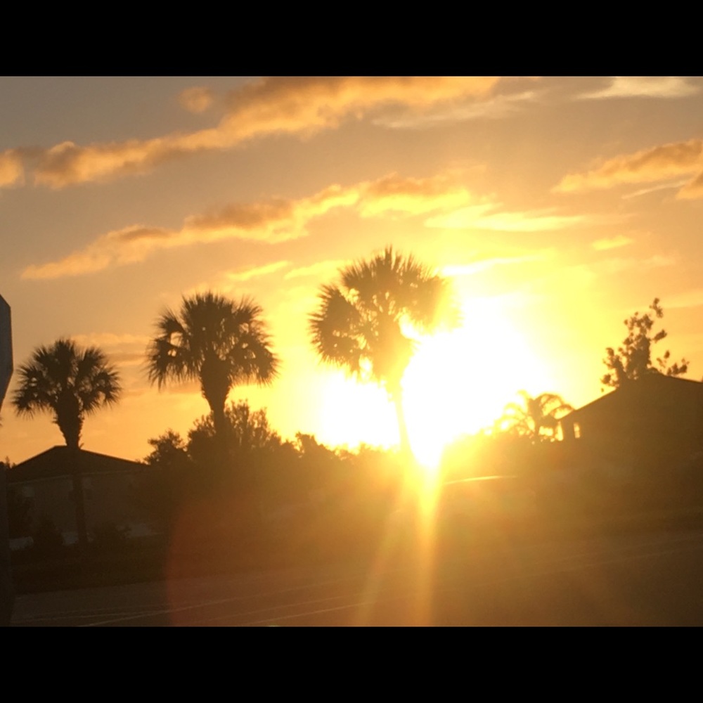 🌞Sunshine Is Happiness🌴